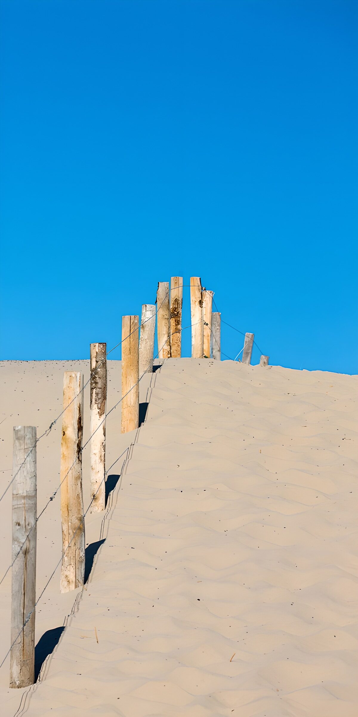Sunlit dune and weathered fence