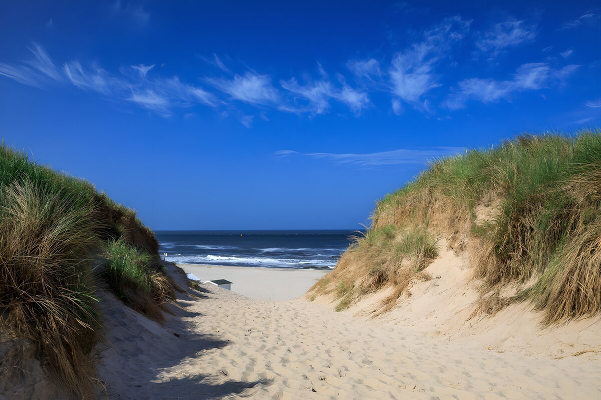 A sandy path to the sunlit sea