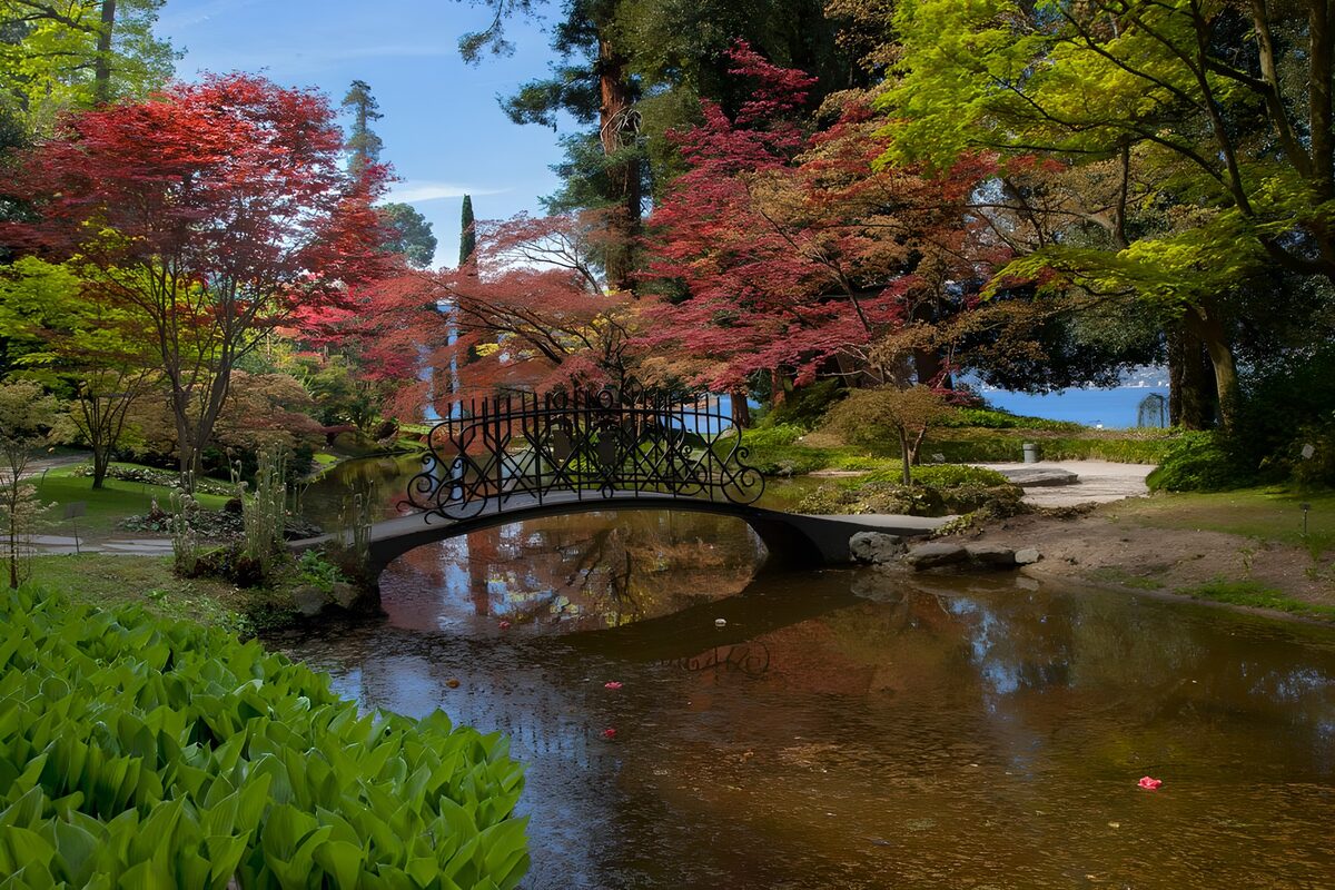 Arched garden bridge in dappled shade