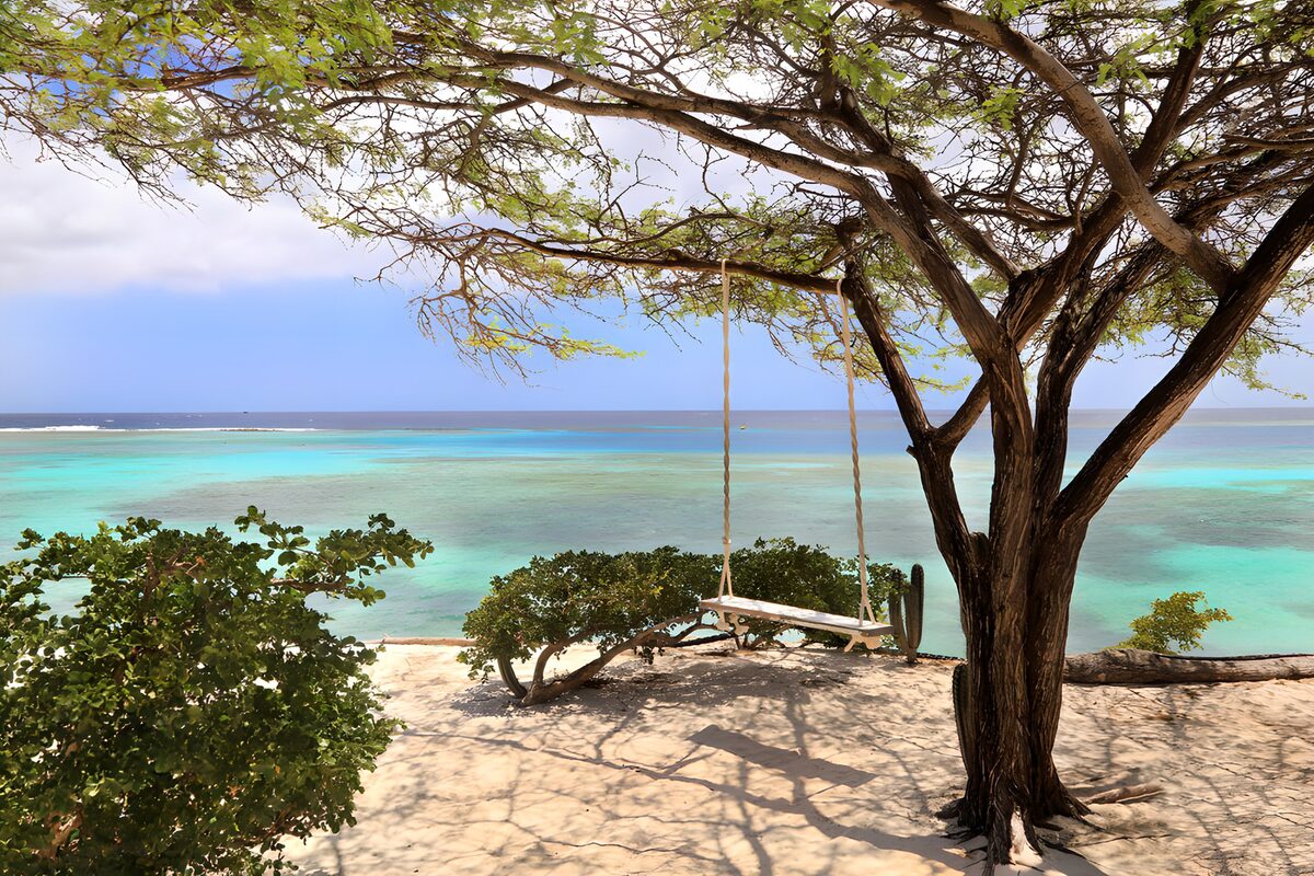 A wooden swing by turquoise water