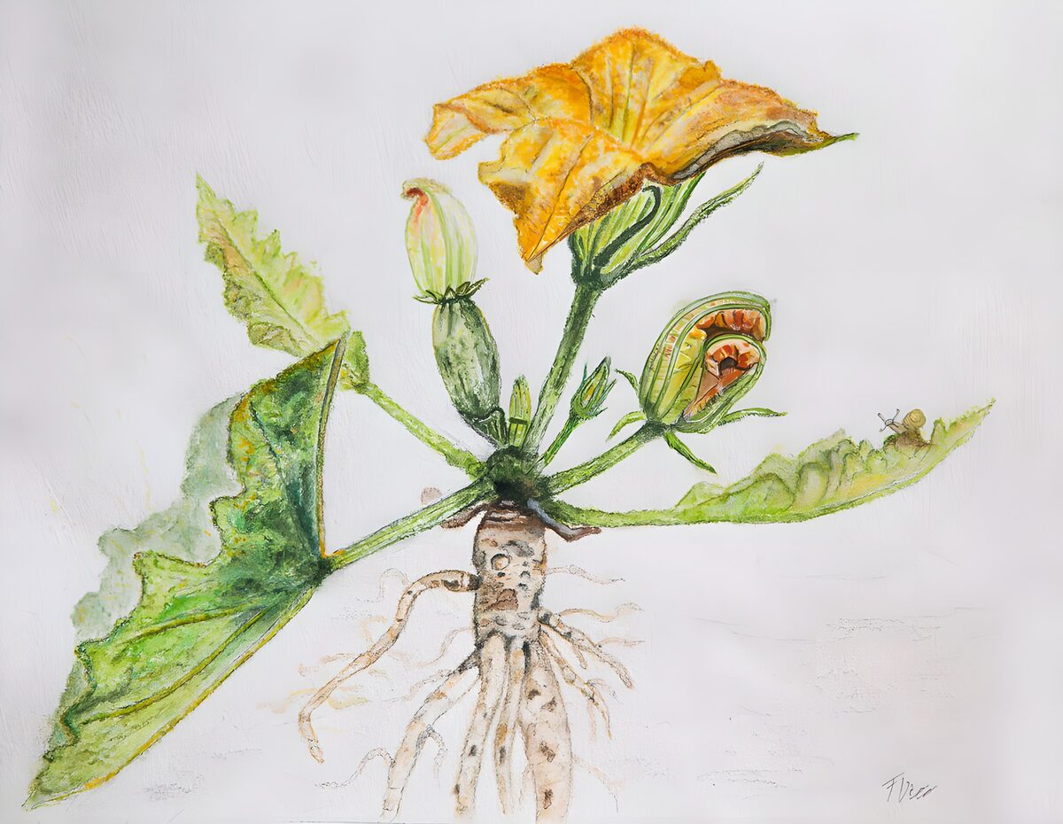 Yellow blossom, roots and all