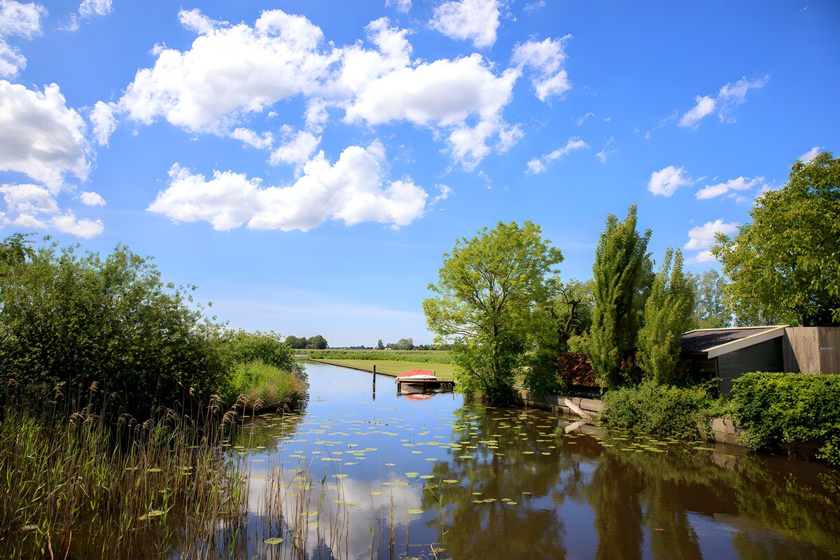 Summer canal with reeds and lily pads