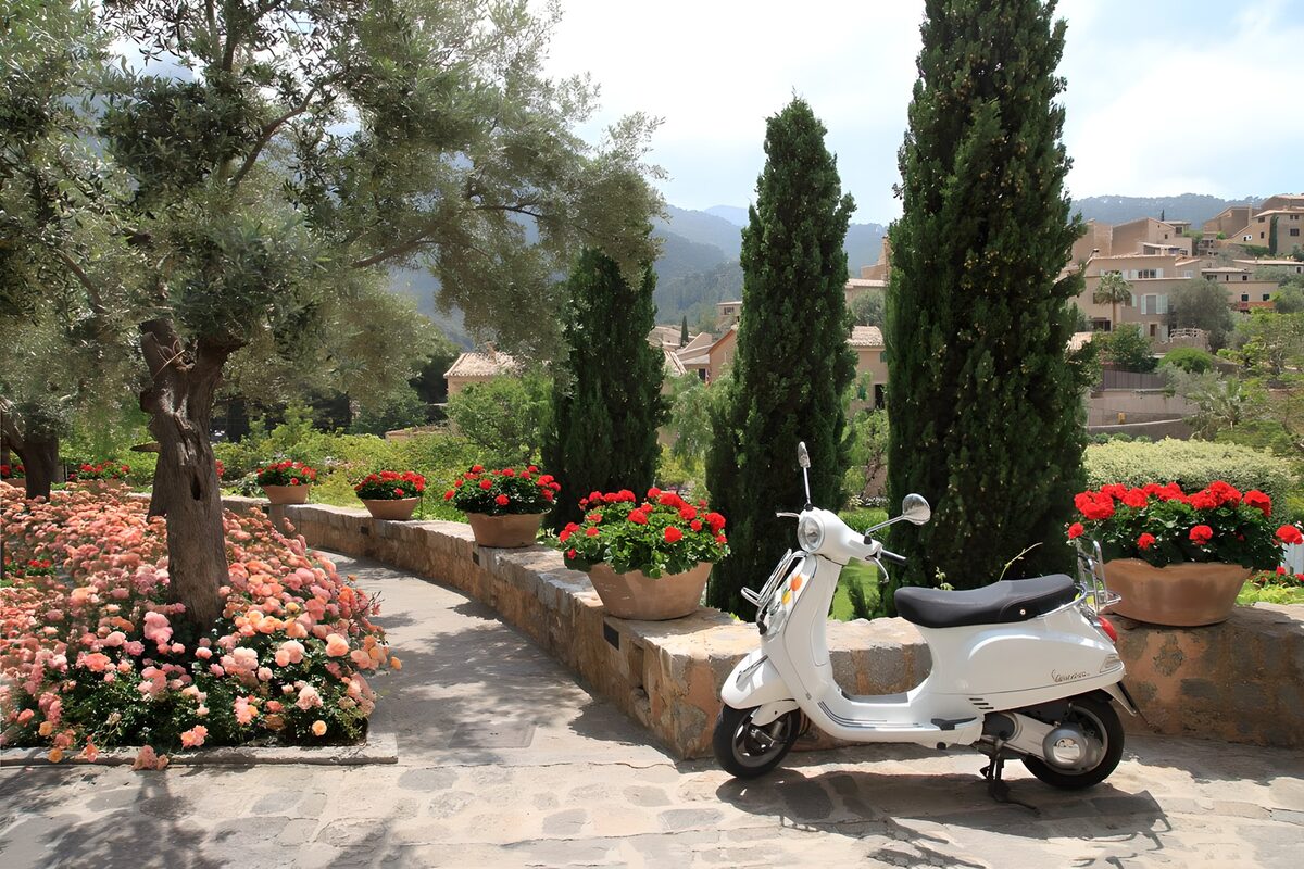 White scooter in a sunlit garden