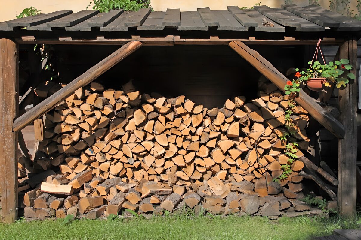 Sunlit firewood in a wooden shelter