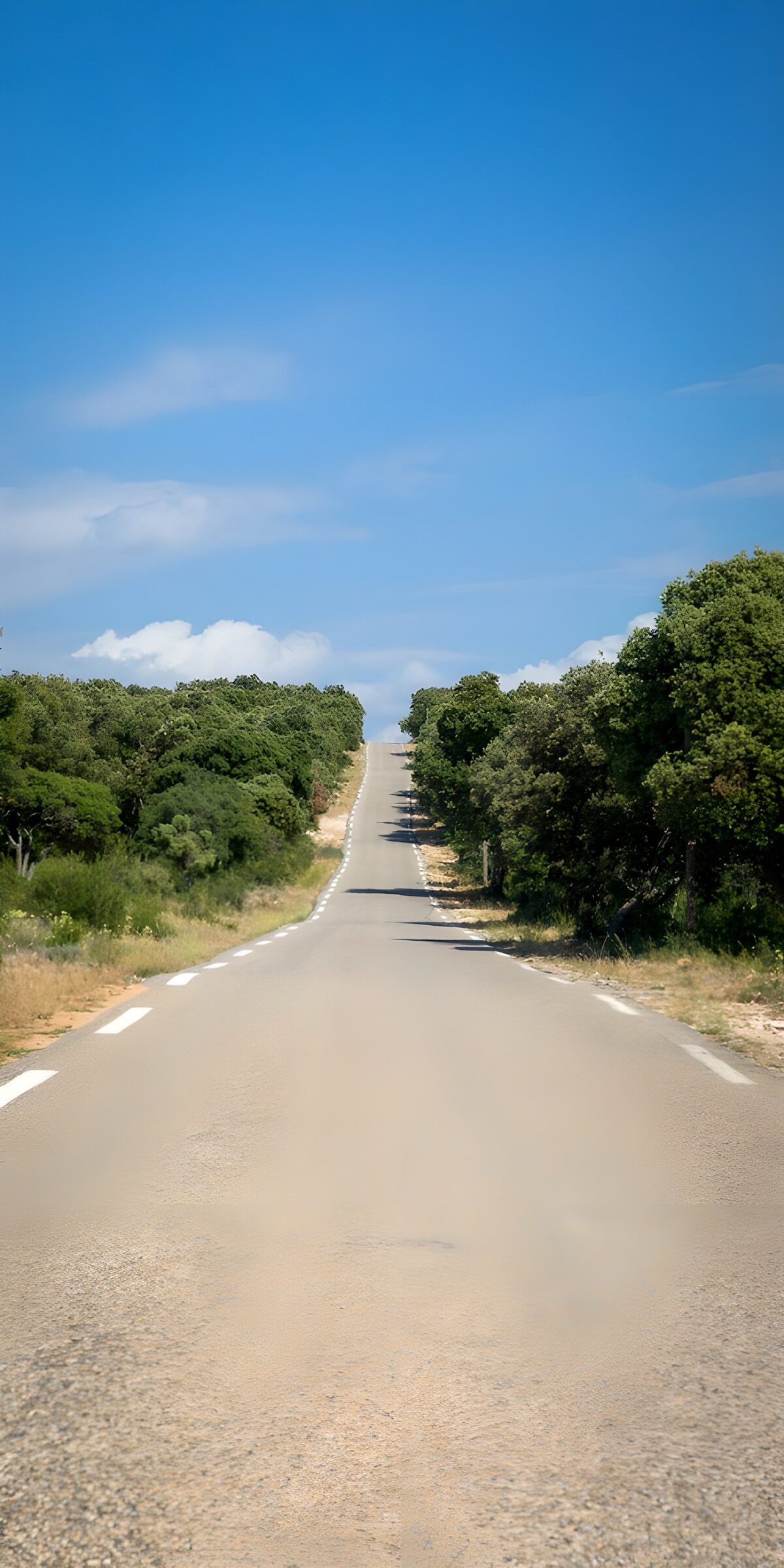 Country road beneath a wide blue sky