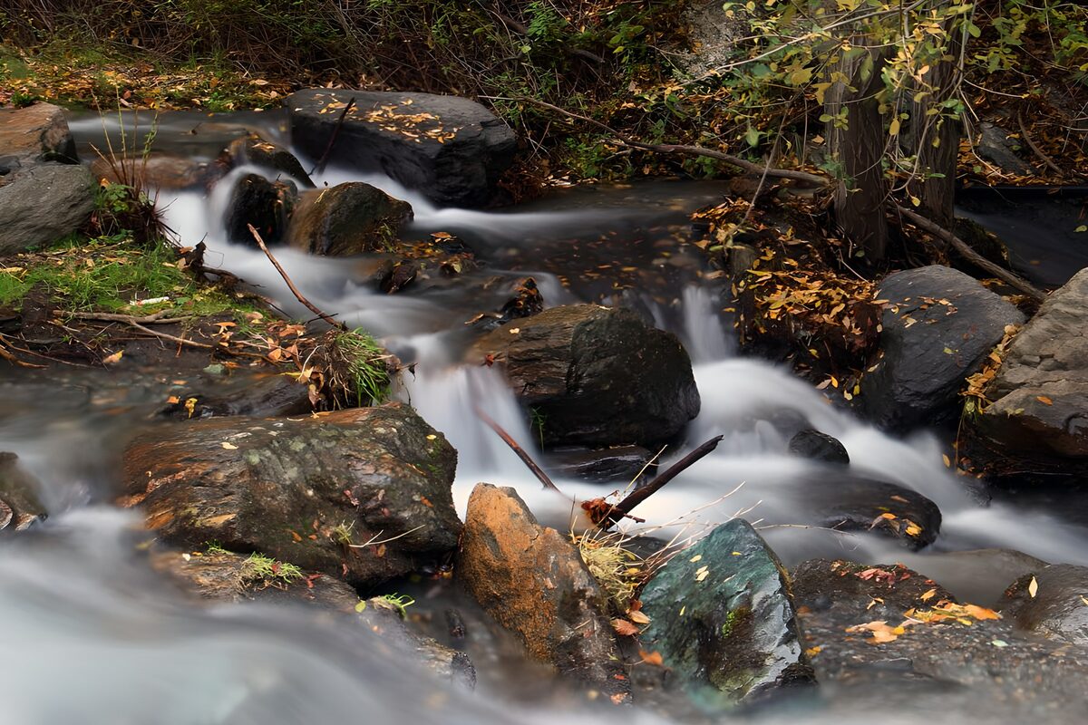 Autumn stream tumbling over woodland rocks