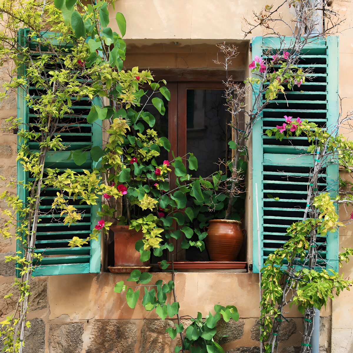 Turquoise shutters and sunlit flowers