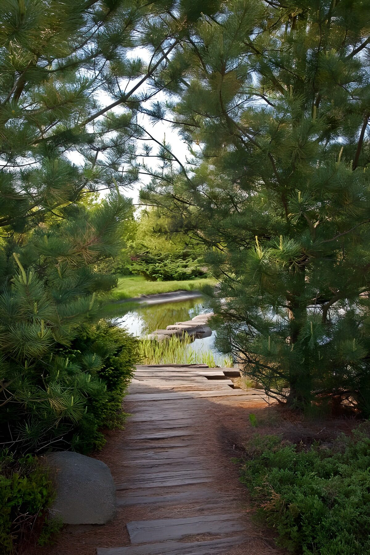 A shaded stone path to the garden pond
