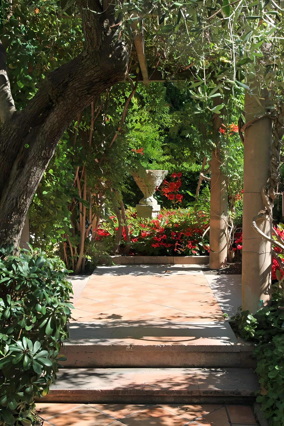 Sunlit garden steps and terracotta tiles