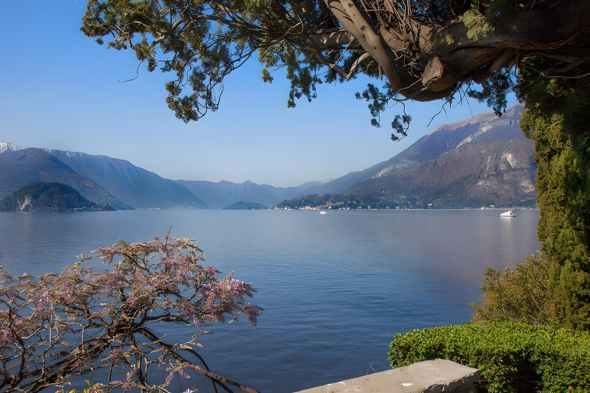 Calm mountain lake with purple flowers