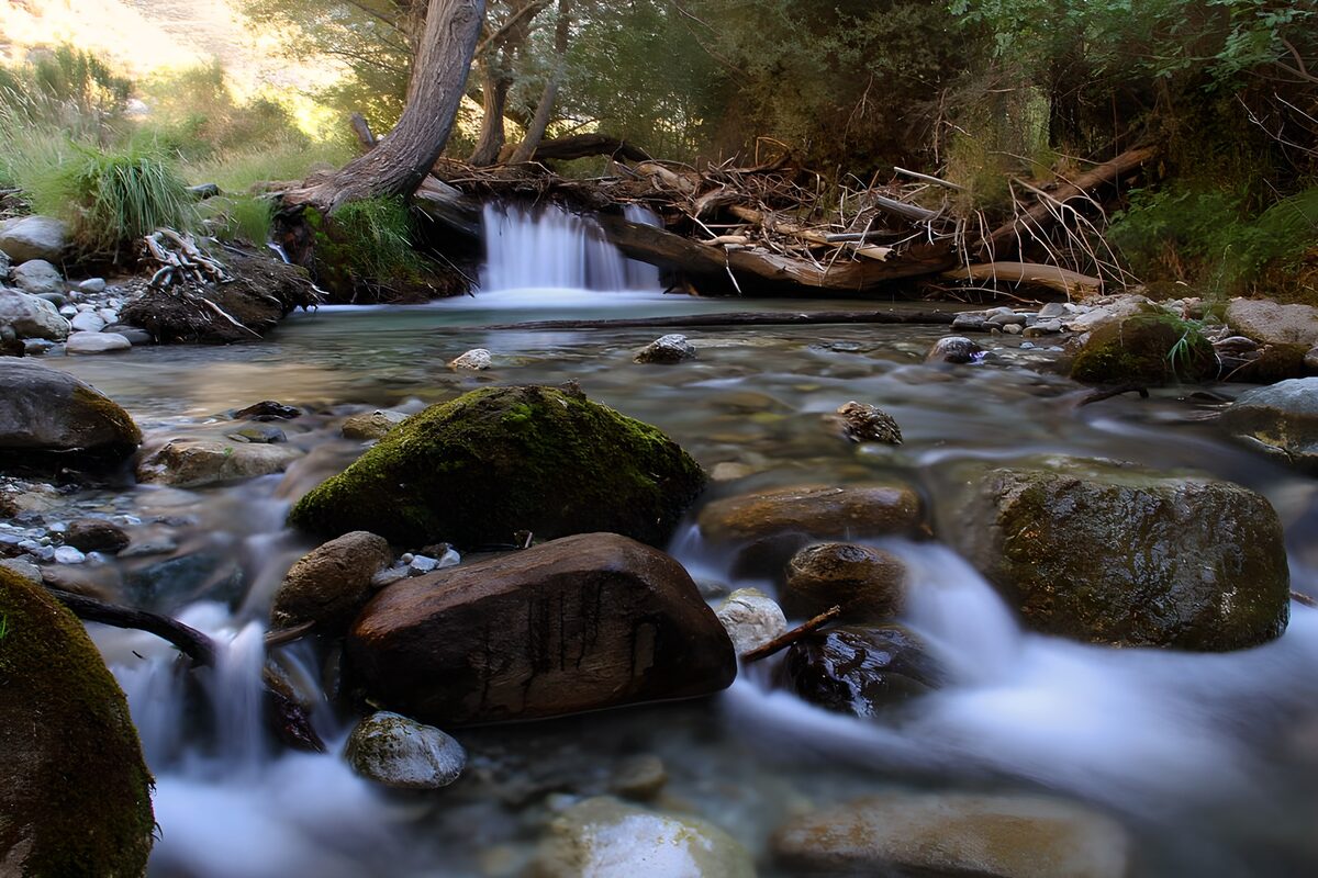 Woodland waterfall in gentle light