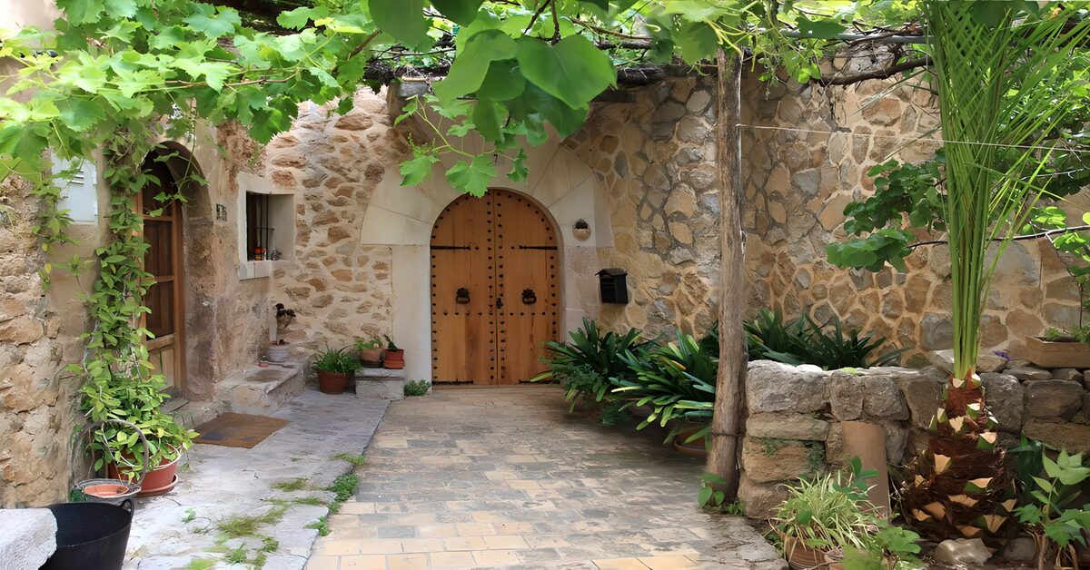 Stone courtyard beneath a leafy canopy