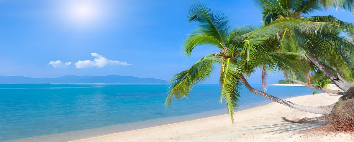 Where palms lean into the blue