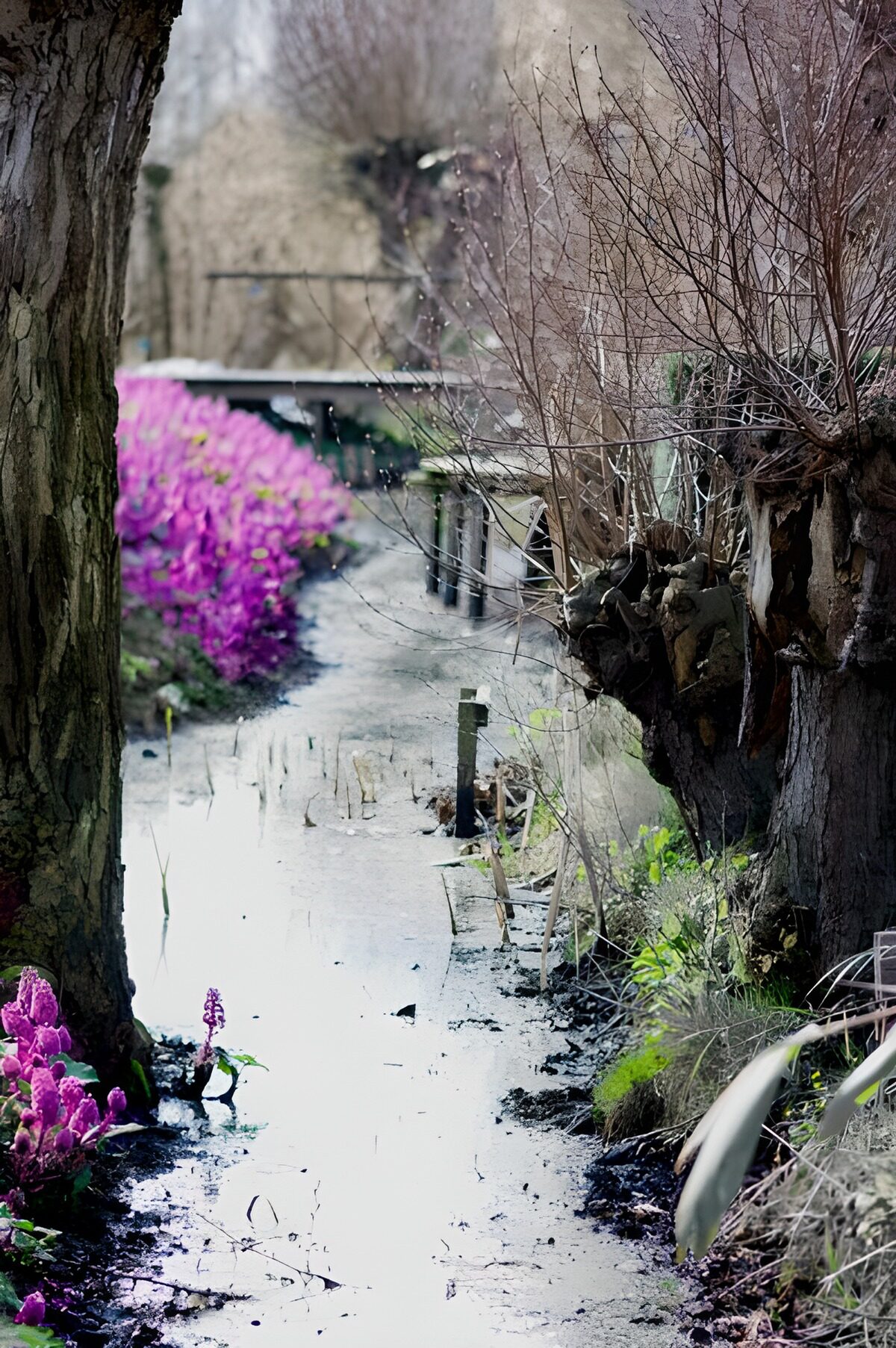 A shaded garden watercourse in spring