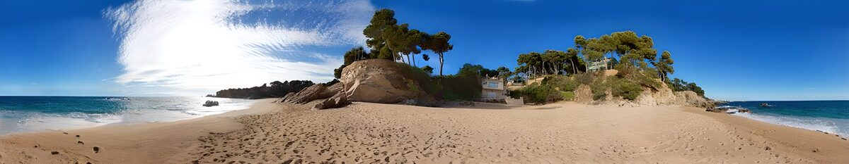 A sweep of sand beneath a feathered sky