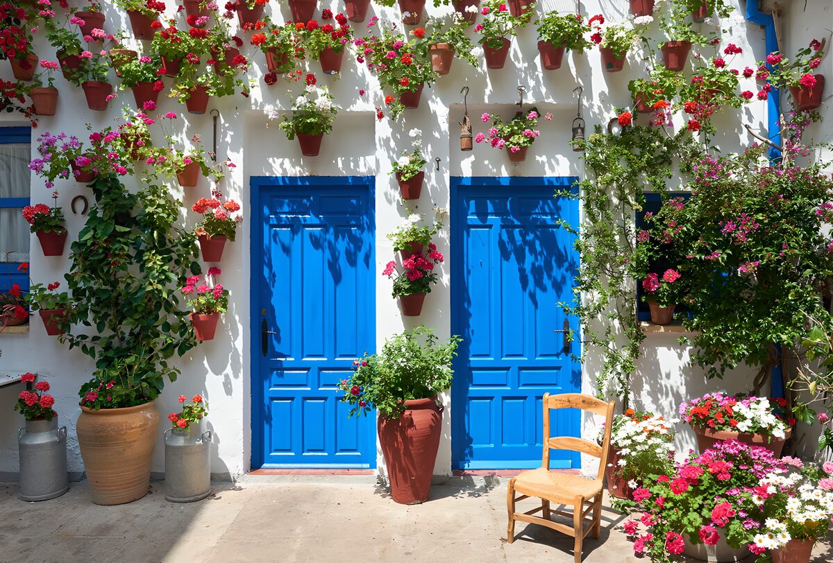 Blue doors and flowers in the sunshine