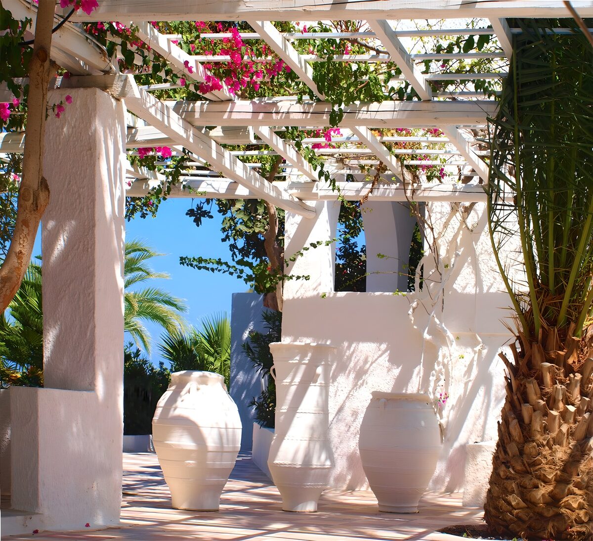 A canopy of pink blooms and sunshine