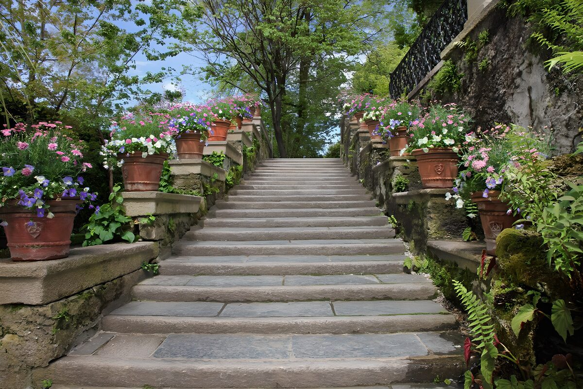 Flower-lined stone steps in dappled shade