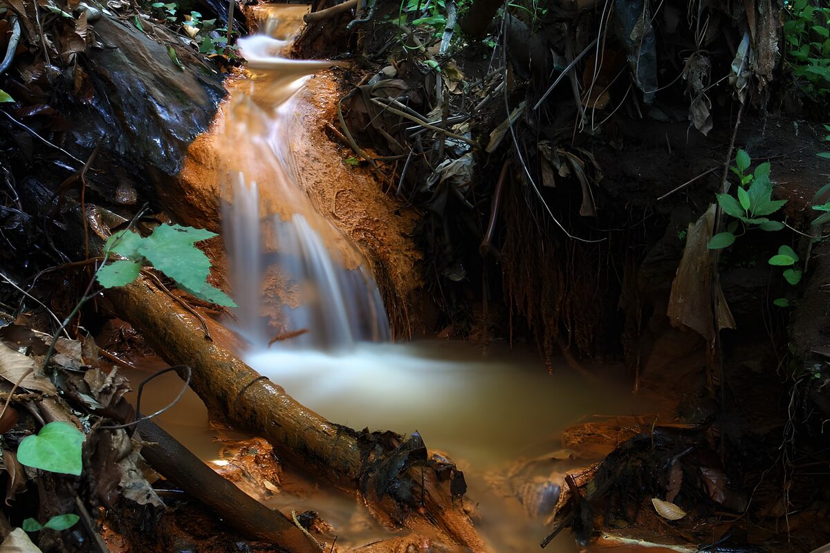 Small waterfall in a shaded woodland