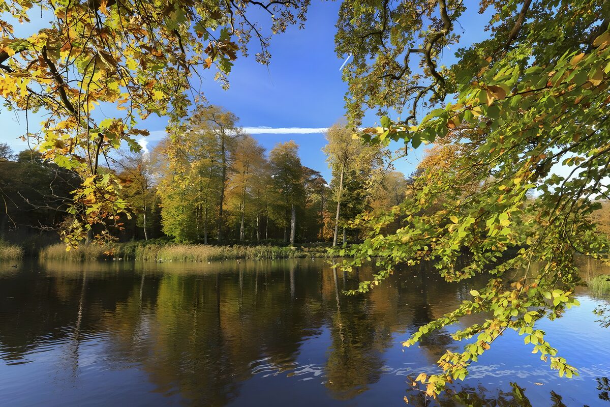 Autumn woodland reflected in calm water