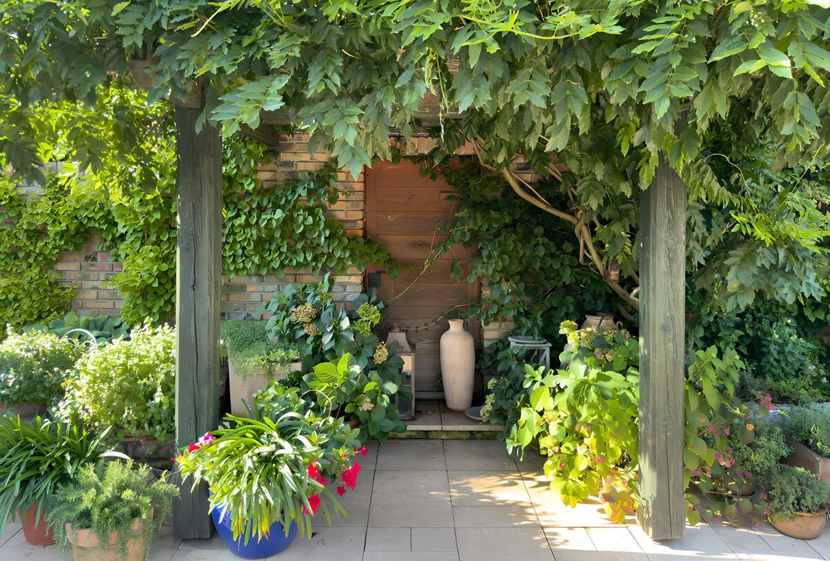 Leafy pergola and a pot-filled patio