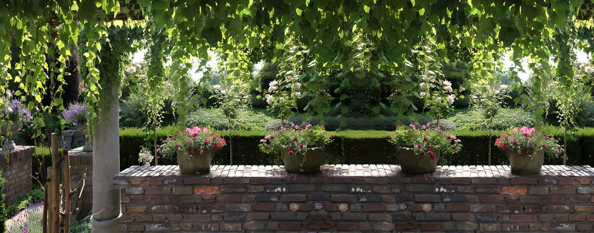 Potted pink flowers in dappled shade