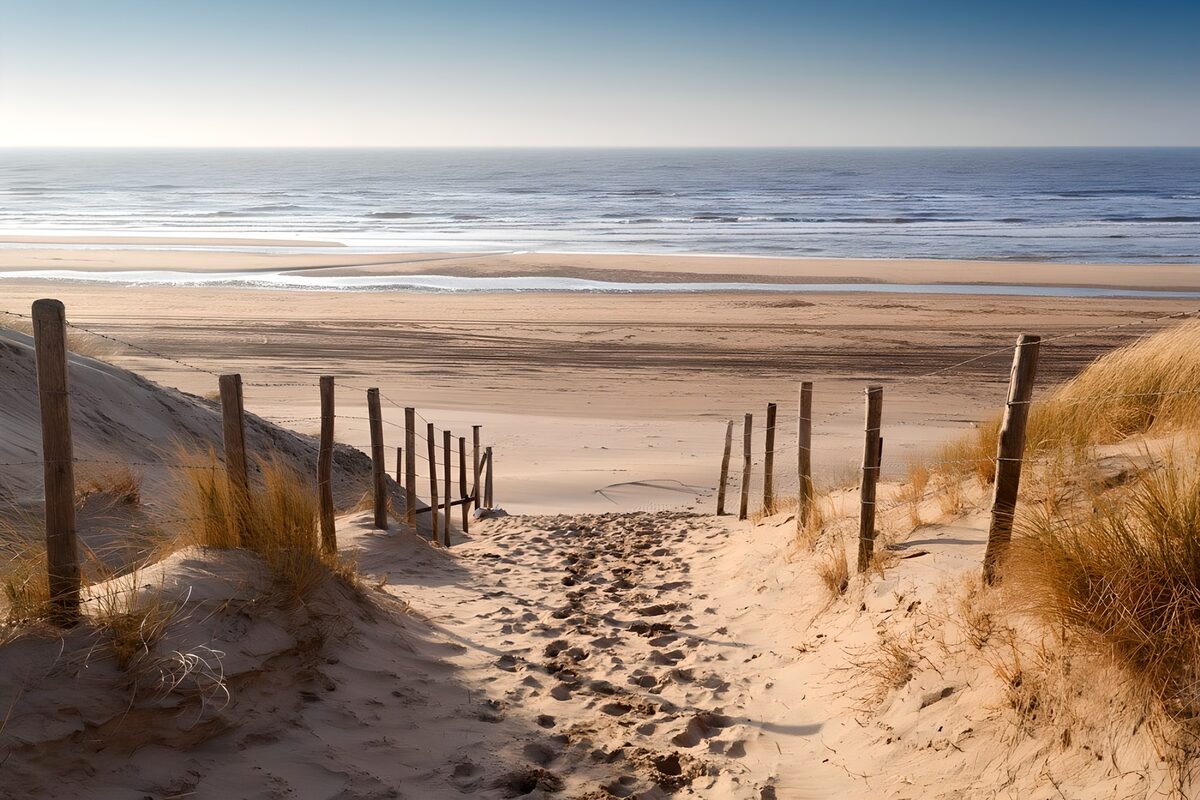 Sunlit dune path down to the sea
