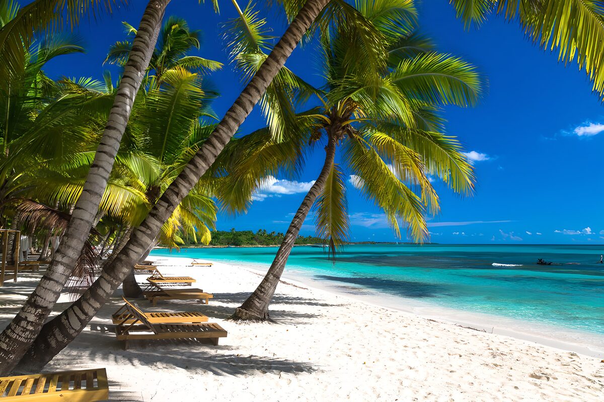 Palms, loungers and no plans