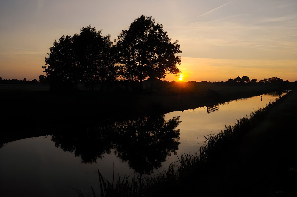 Trees and still water at sunset