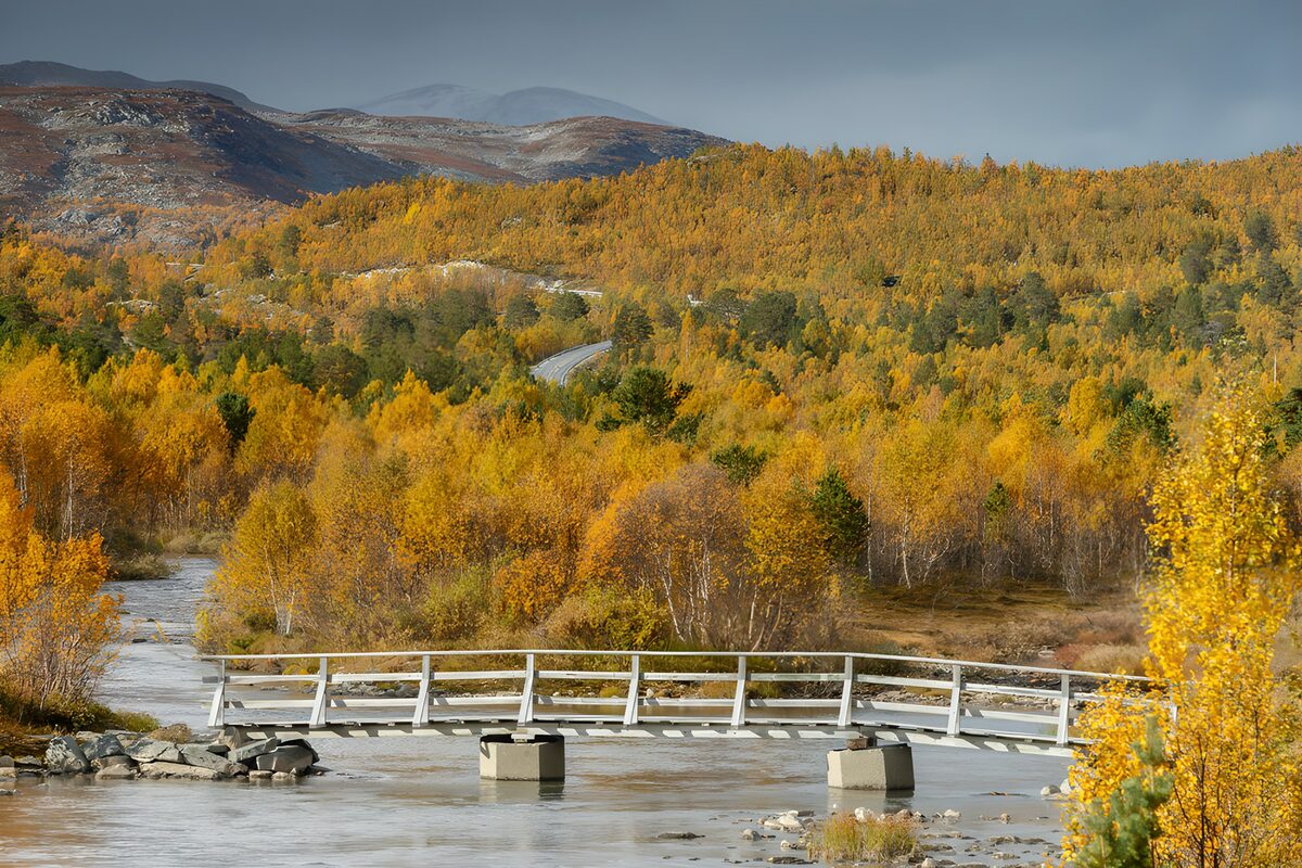 Quiet river and autumn footbridge