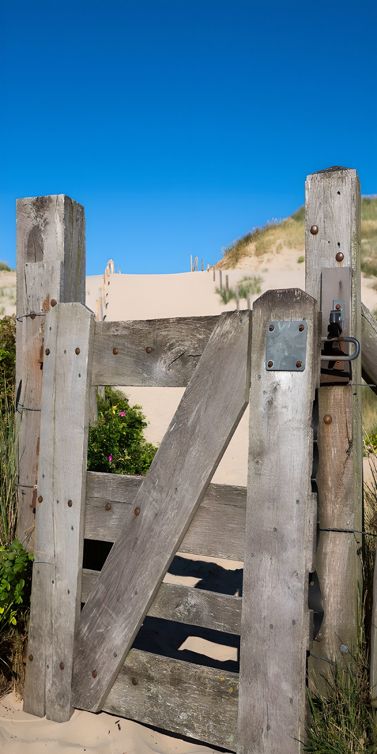 Weathered gate on a sunlit dune path