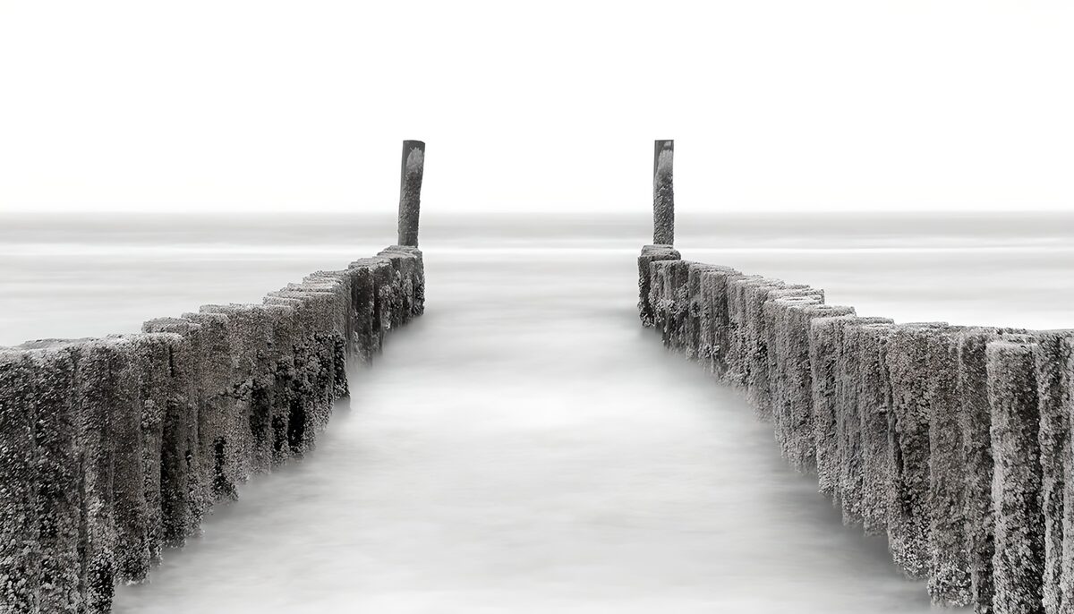 Weathered sea posts in black and white