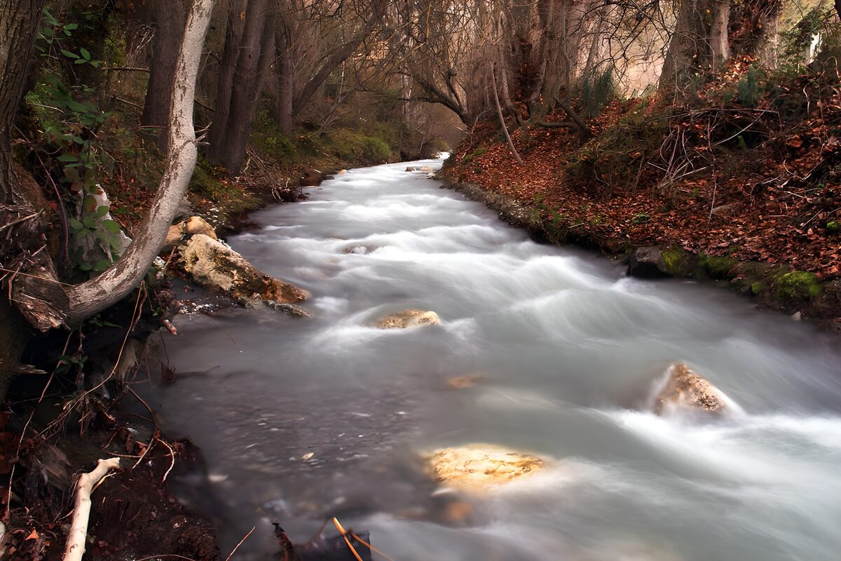 Autumn stream over sunlit rocks
