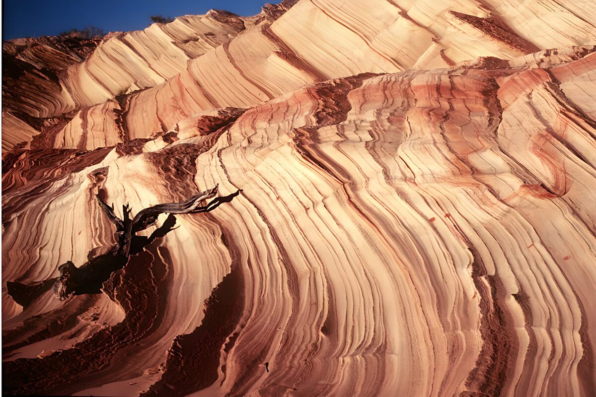 Sunlit curves in layered sandstone