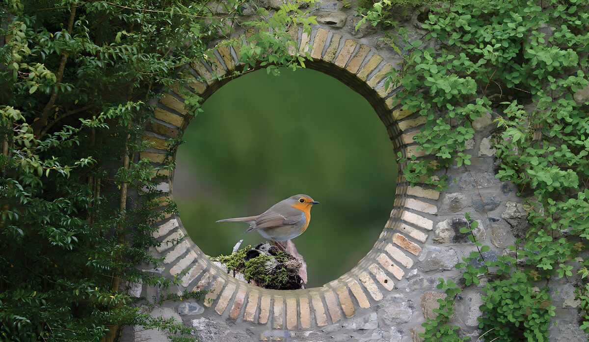 Robin in a leafy round wall opening