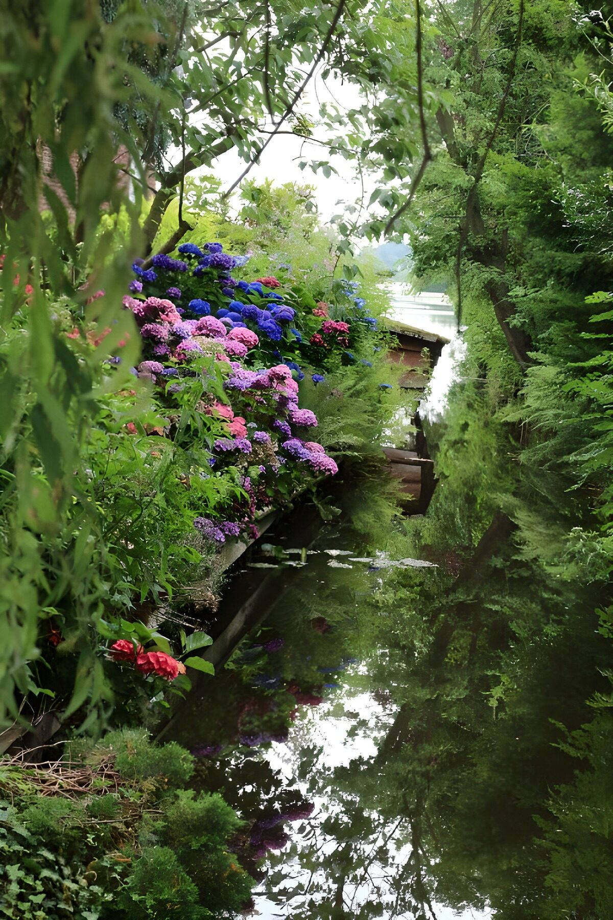 Still water holds the summer blooms