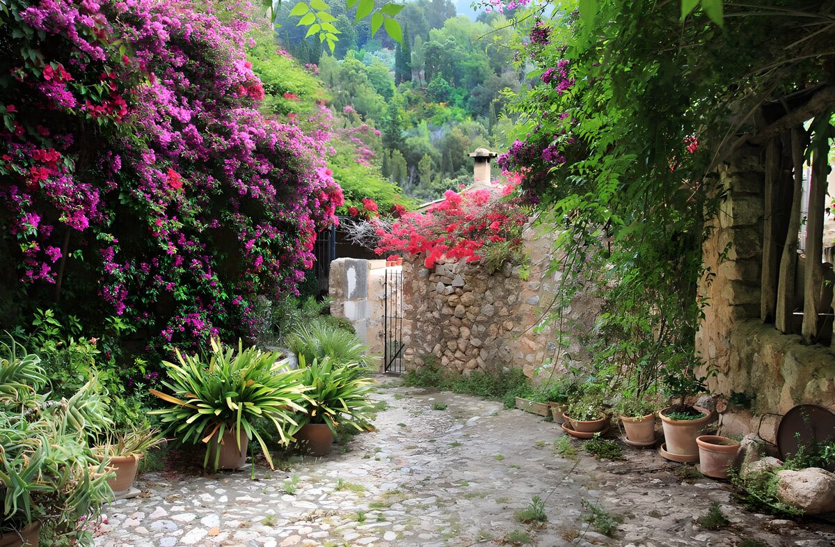 Stone path through a secluded garden