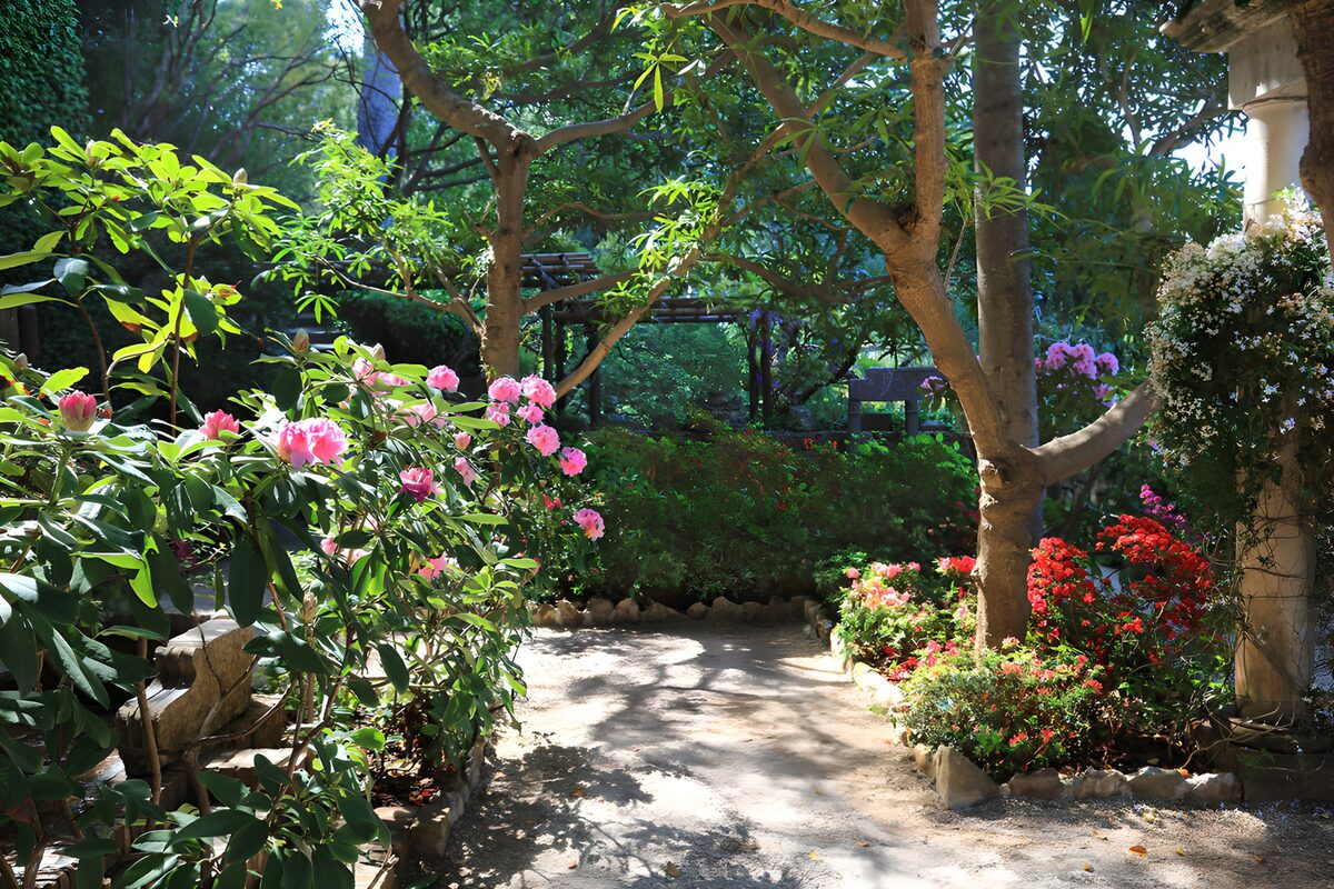 Sunlit gravel path and pink flowers