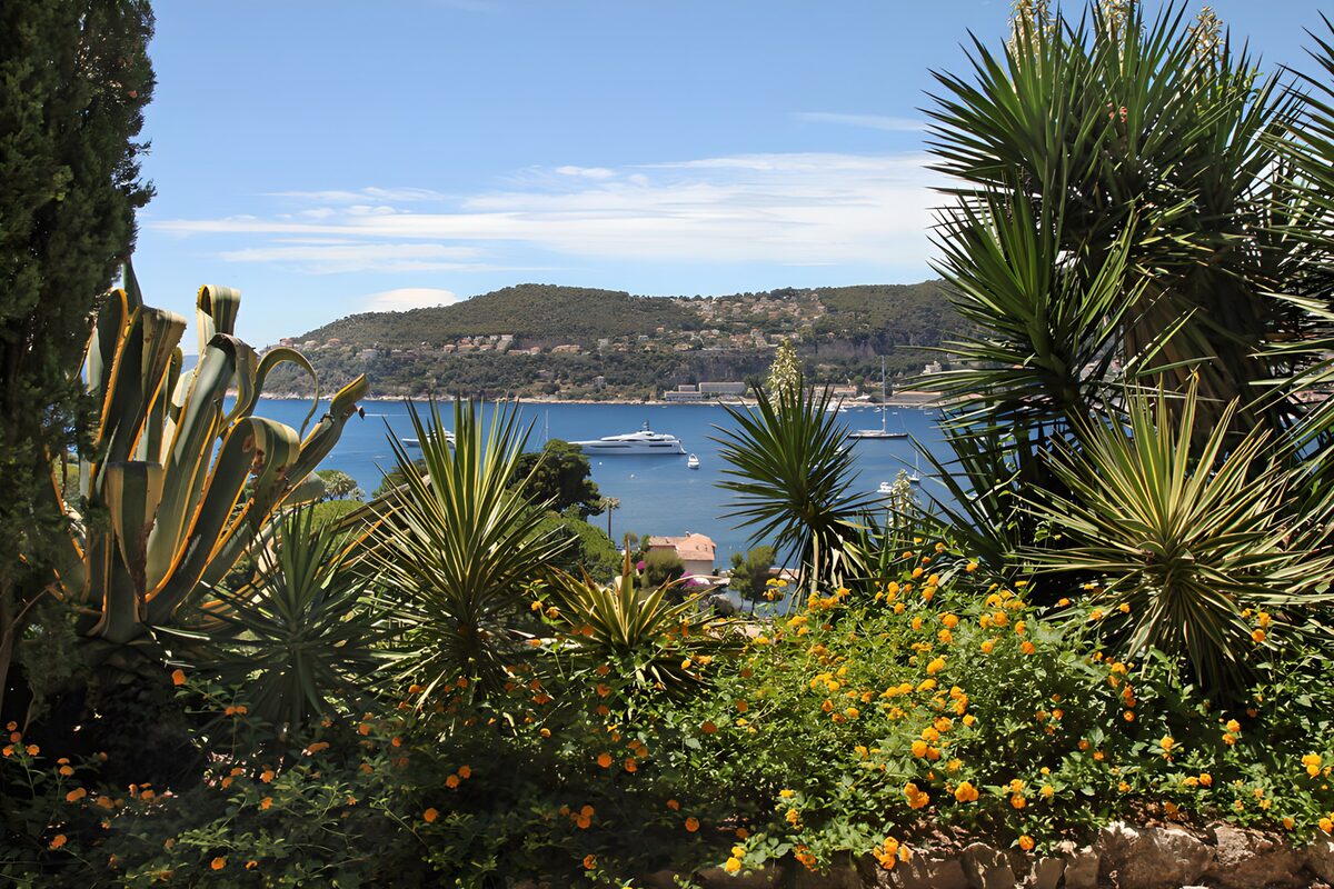 Sunlit garden above a blue bay