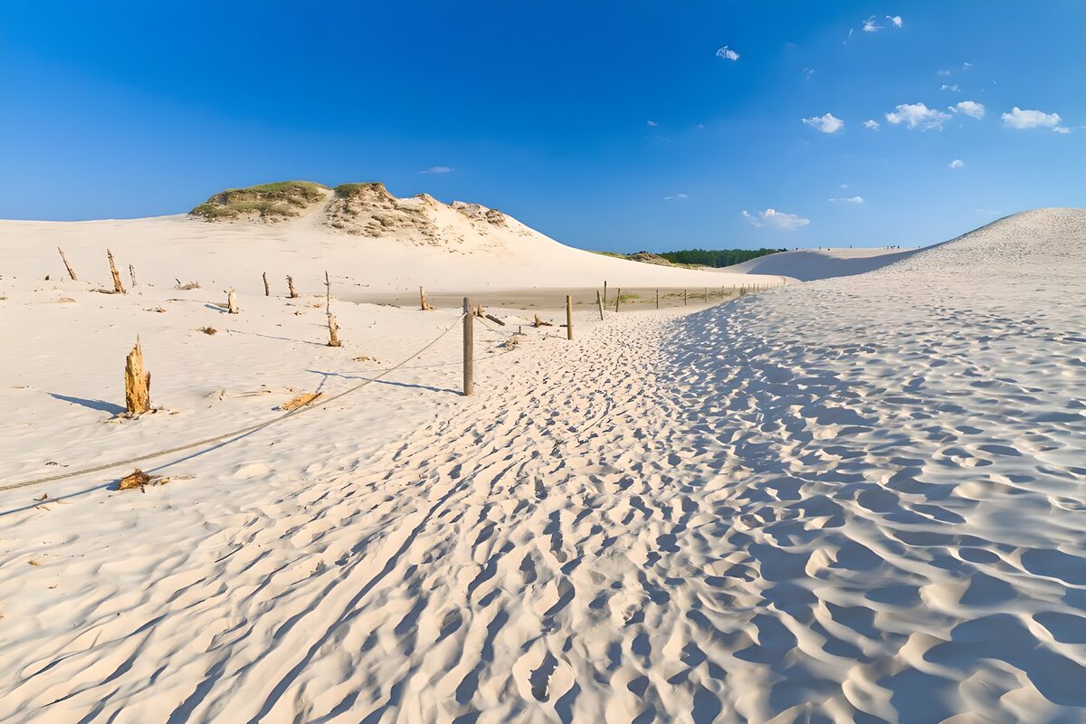 Sunlit dunes beneath a blue sky