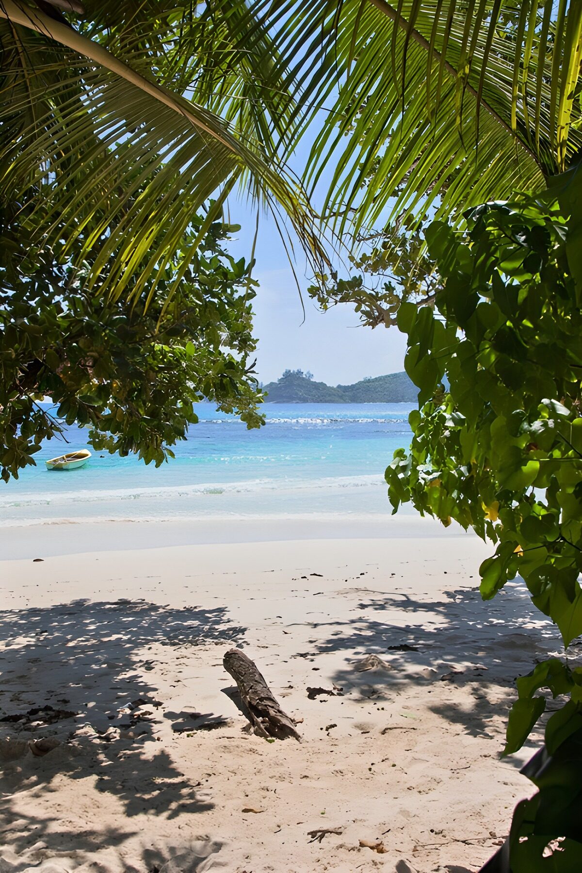 Where palm shade meets turquoise sea