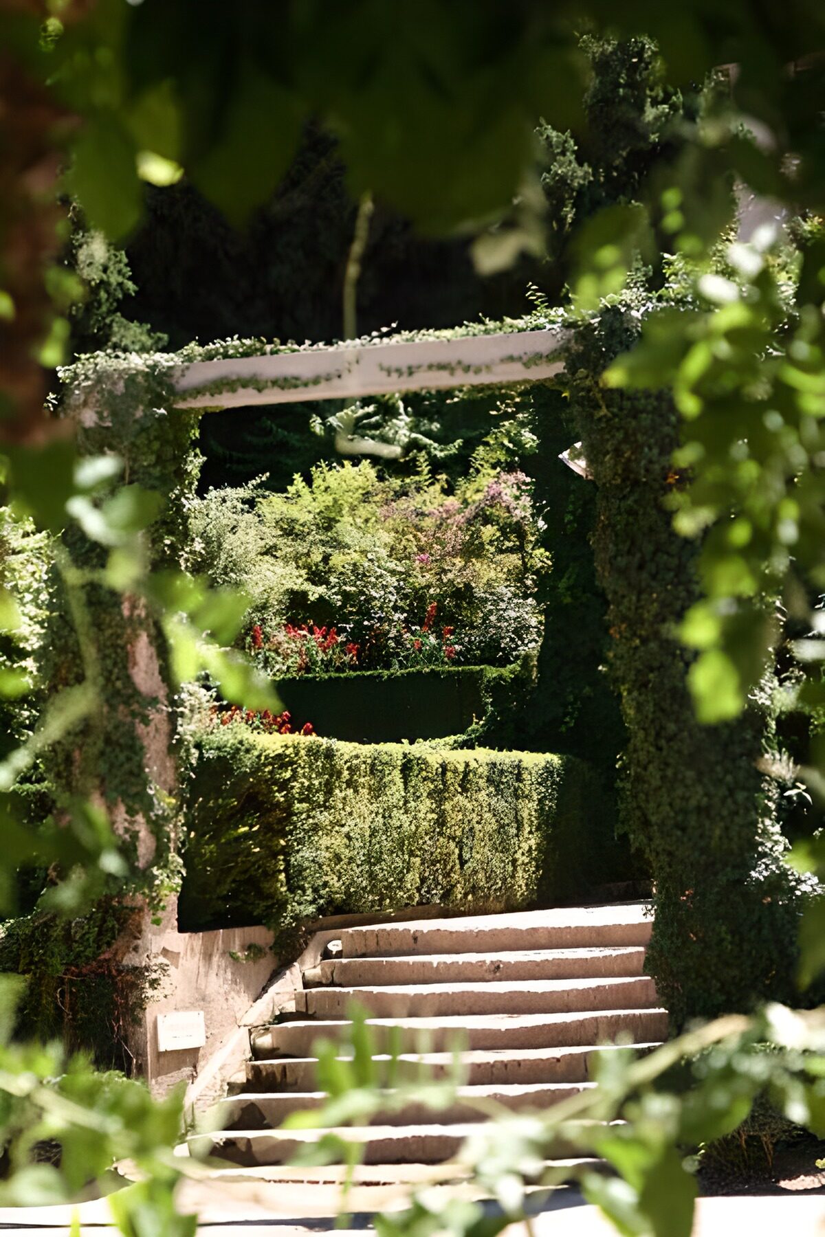 Sunlit stone steps in a leafy garden