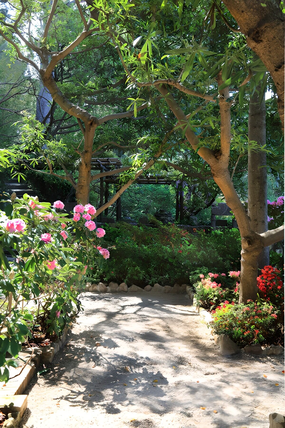 Sunlit garden path with pink flowers