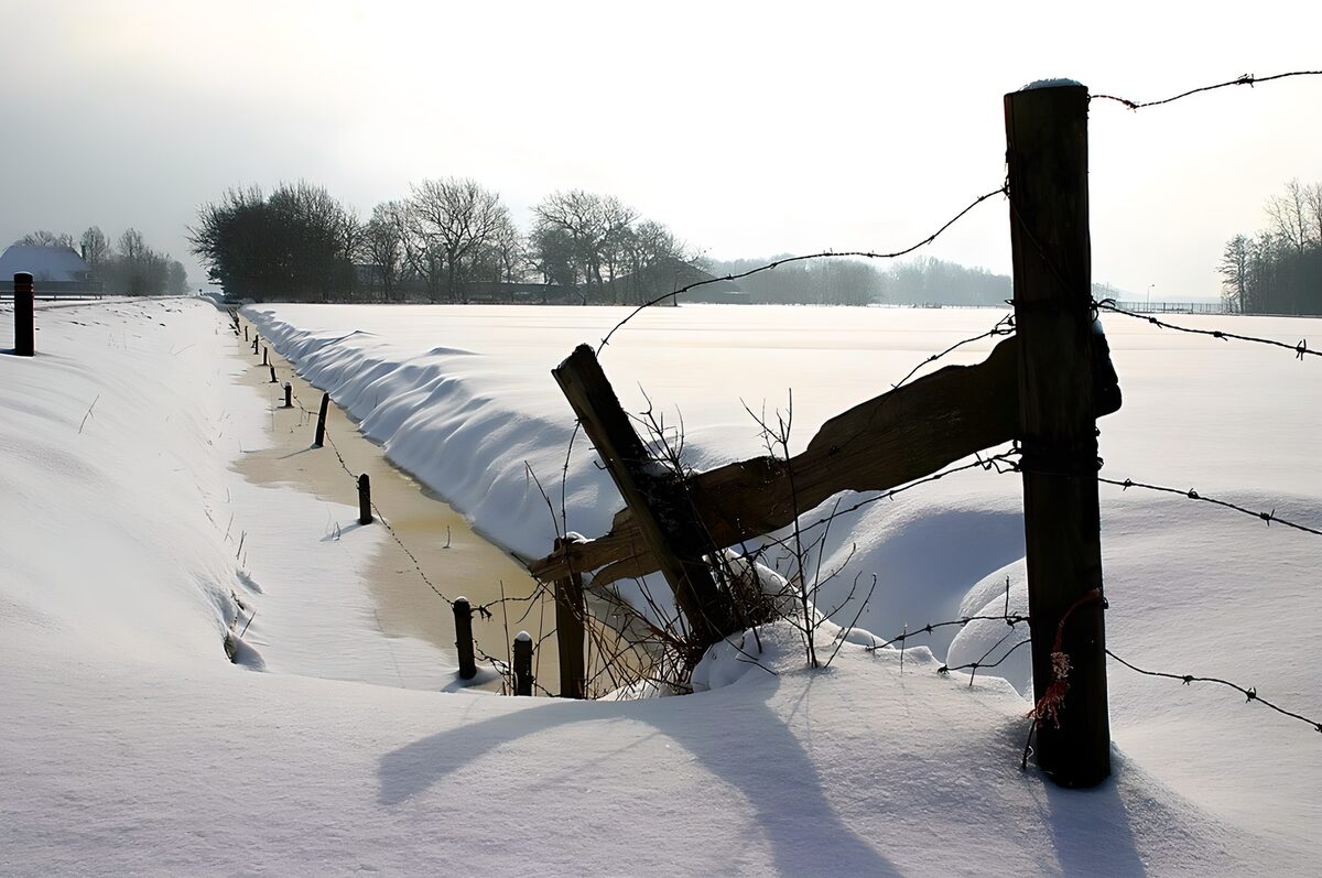 Frozen ditch and fence in winter sun