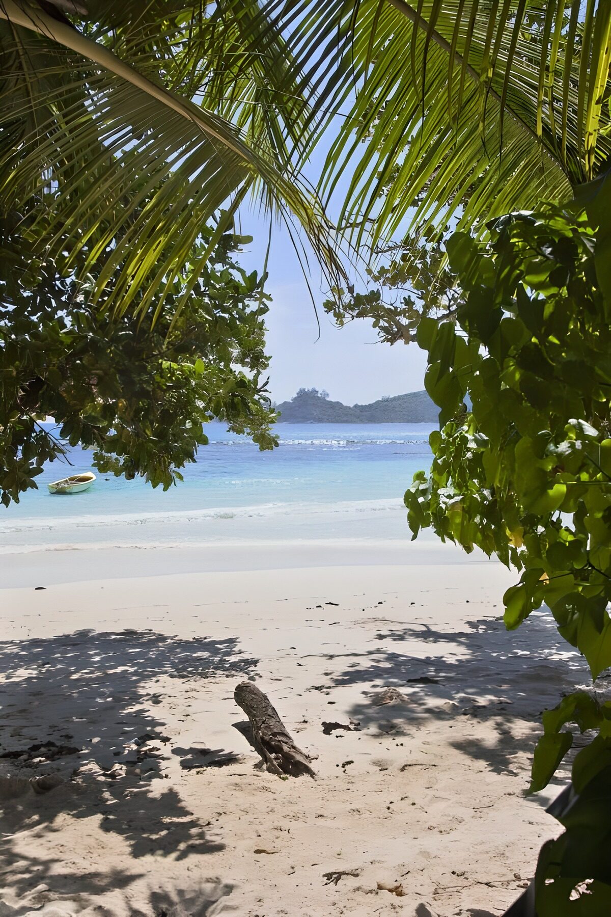 Tropical beach beneath the palms