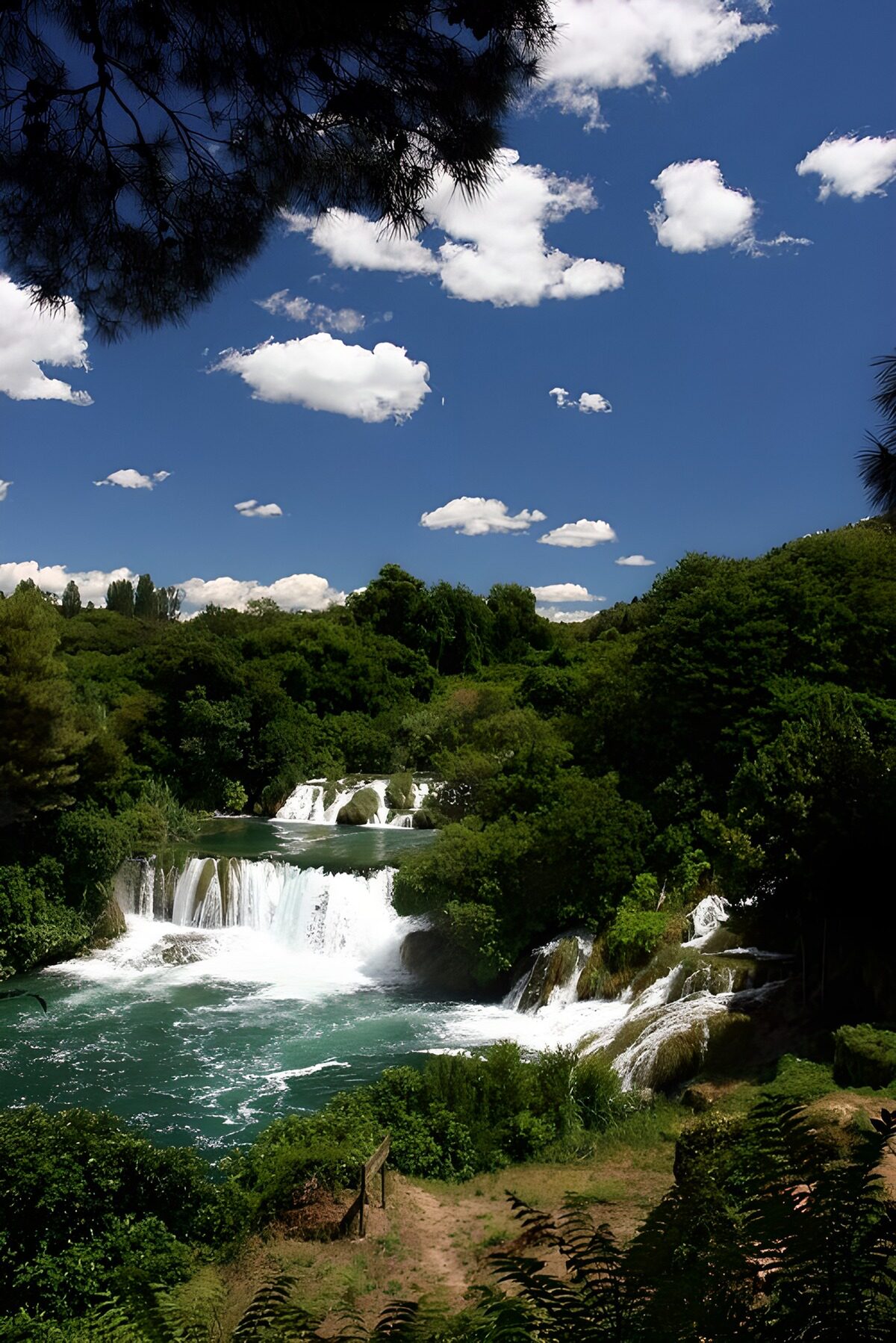 Woodland waterfalls beneath a summer sky