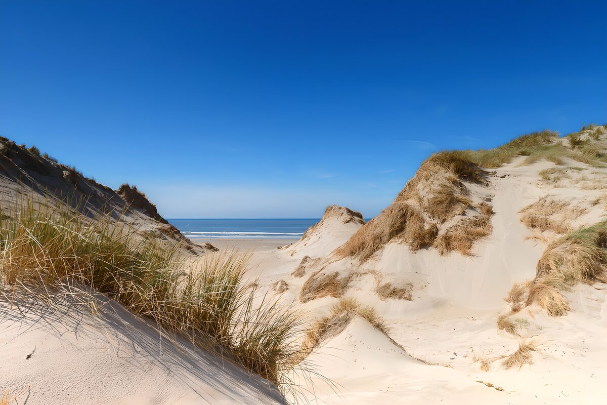 Sunlit sand dunes beside a blue sea