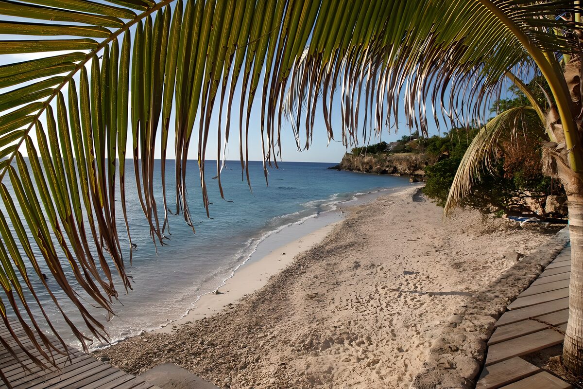Palm-fringed beach in warm sunshine