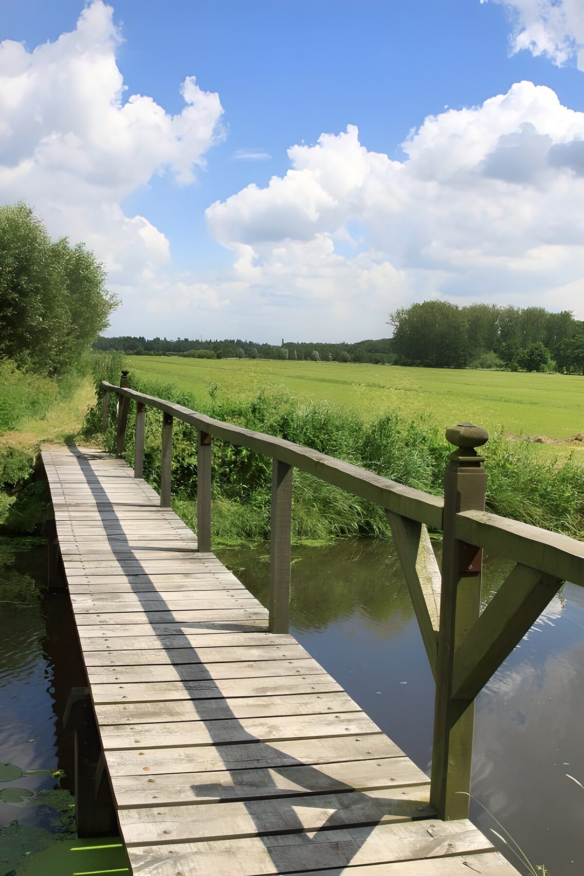 Wooden footbridge by a sunlit meadow