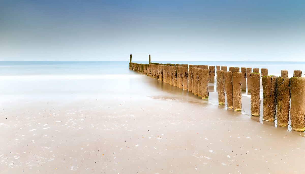 Weathered beach posts in calm water